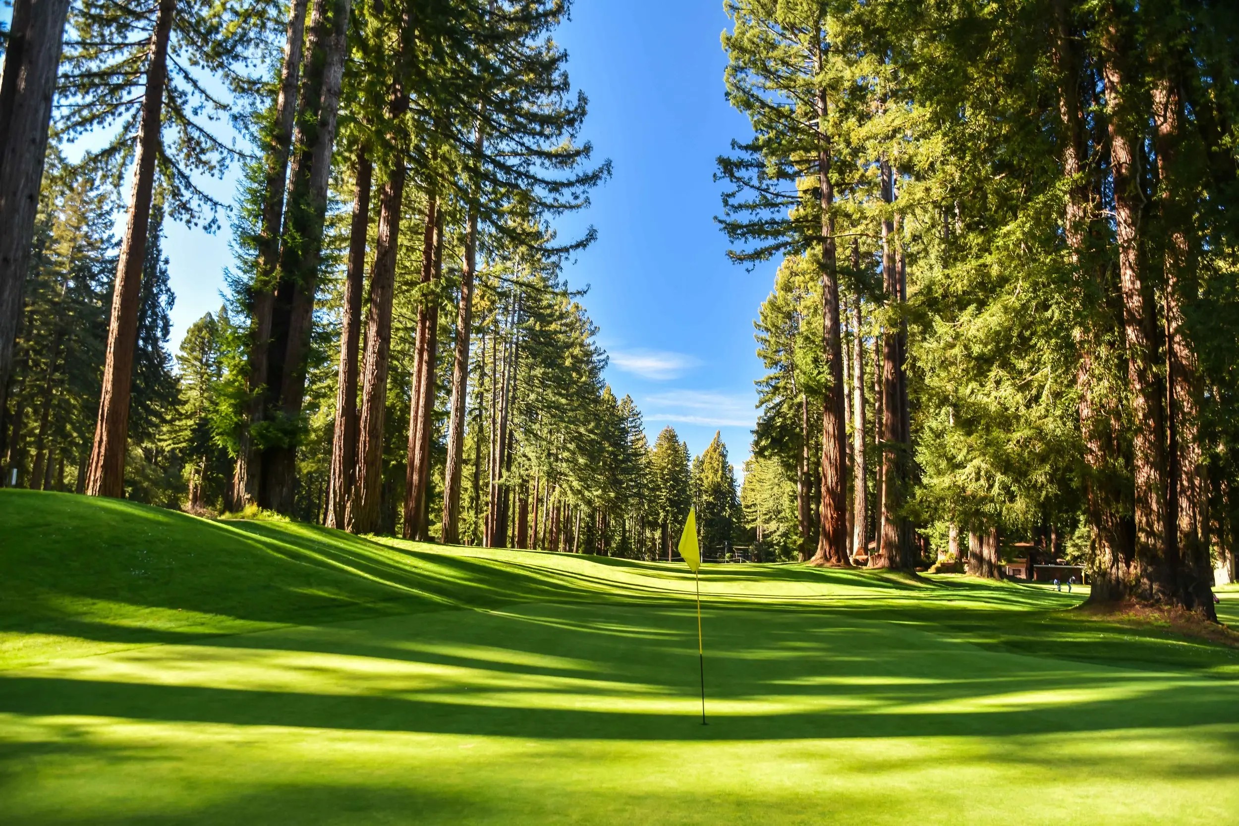 Northwood_Golf_Course1-7
